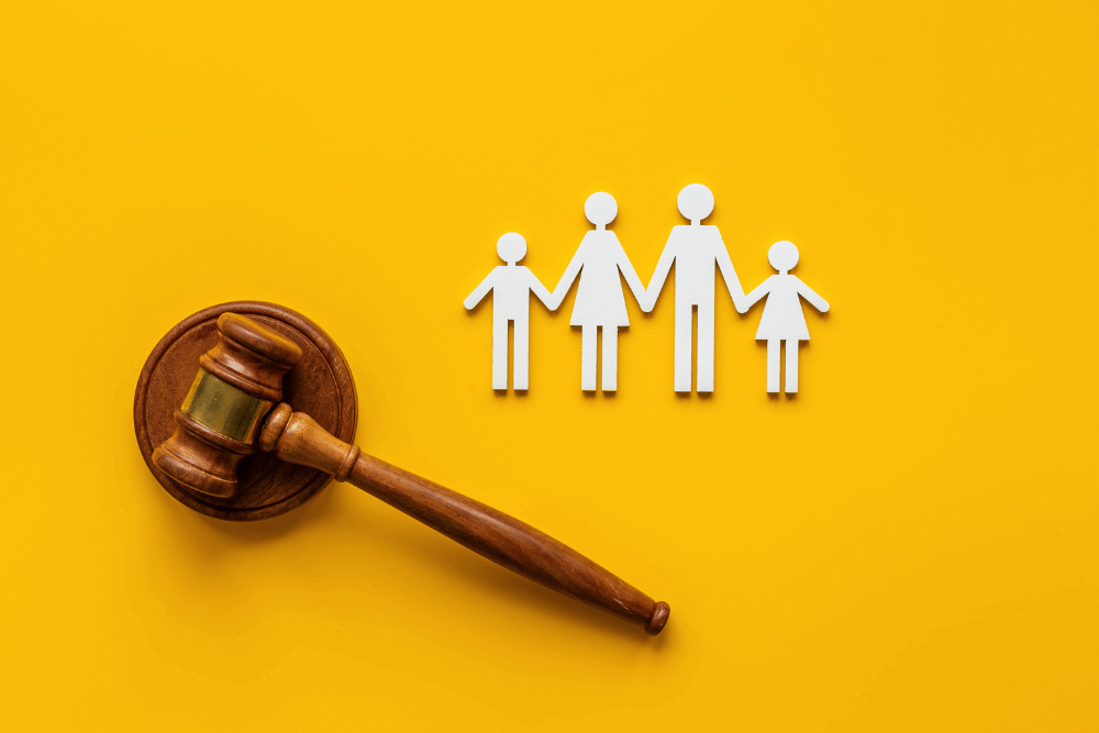 Financial Disclosure and Businesses in Family Law