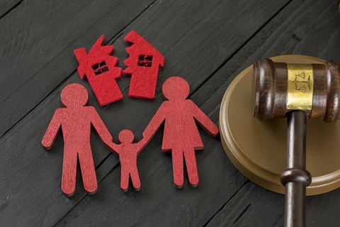 Inside the Family Court: What You Need to Know Before You File