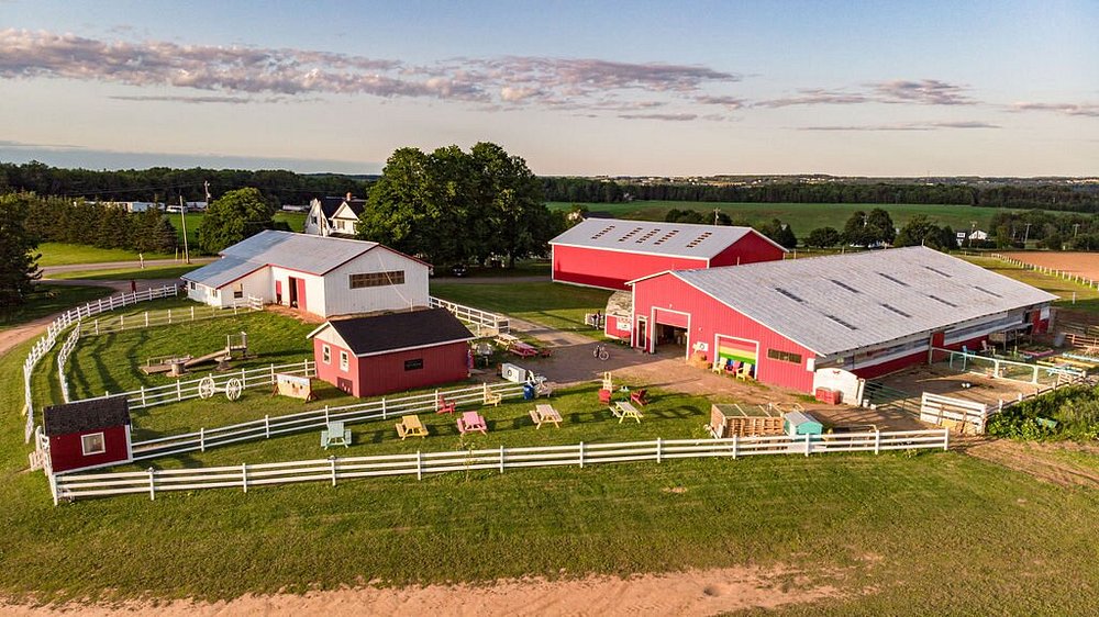 Can a Verbal Promise Really Hold Up After Death?